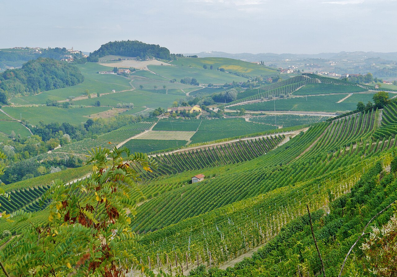 Paesaggio delle Langhe, Piemonte