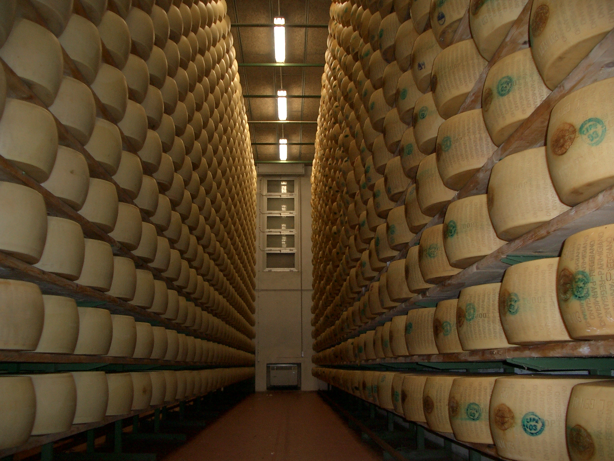 File di forme di Parmigiano Reggiano in un magazzino di stagionatura.