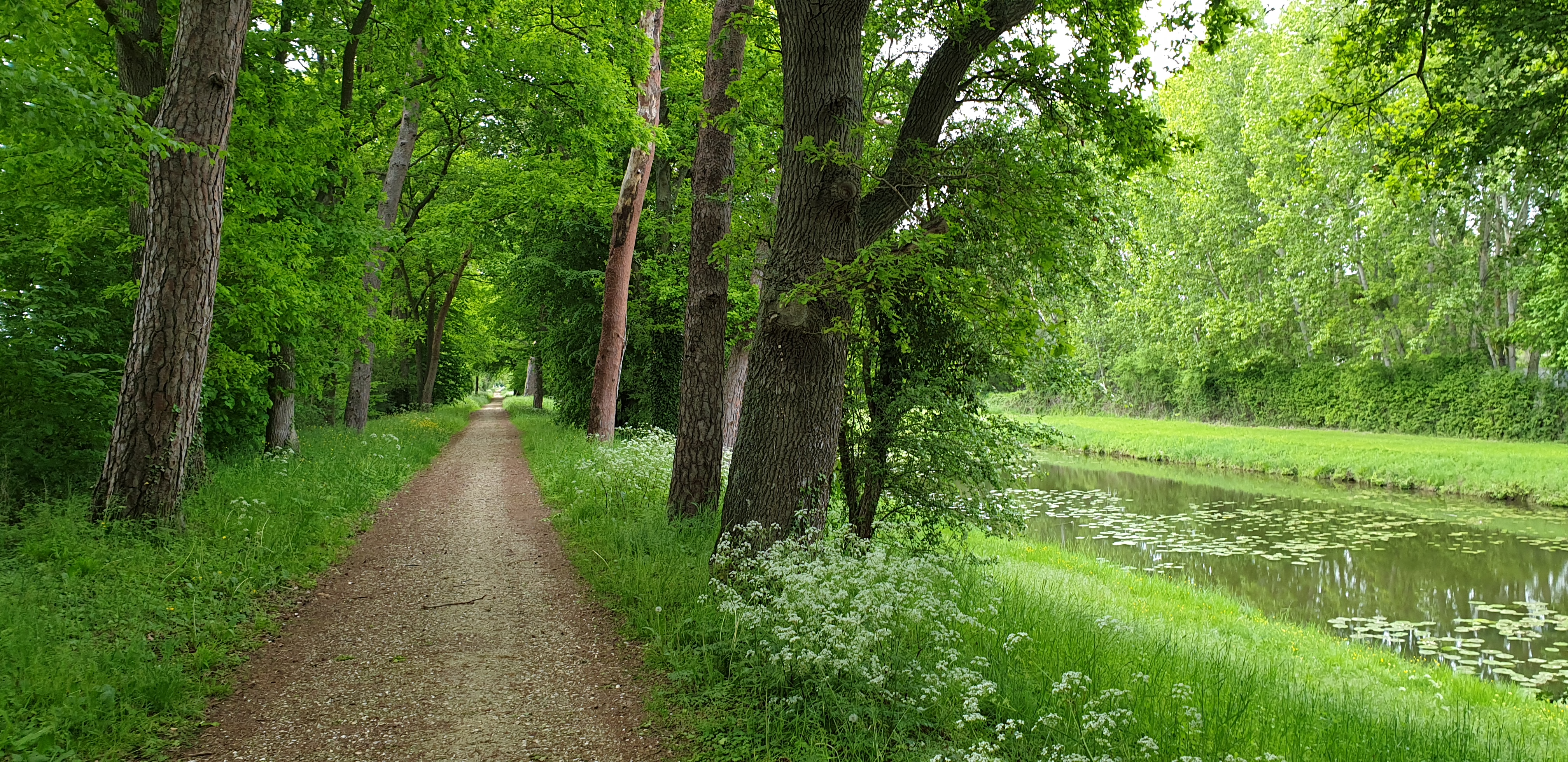 Il percorso Loire à Vélo lungo il vecchio canale a Briare, fra alberi e acqua.